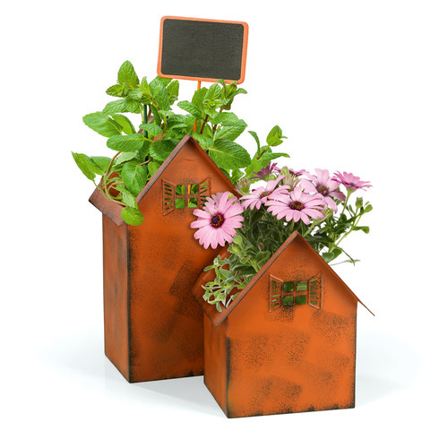 Pot fleurs - pot, plantes