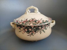 Soupière Faïence Polychrome Choisy Le Roi Orchidées Modèle Rare 