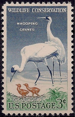 Usa 1957 coqueluche grues - usa,