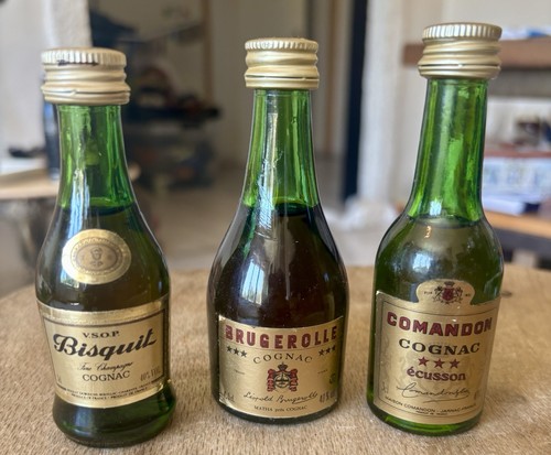 Mini bottle cognac bisquit - mini,