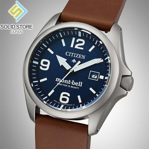 Citizen promaster land - promaster,