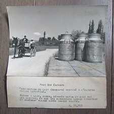 PHOTO DE PRESSE 1943 FABRICATION LAIT CONCENTRE POUR NOS ENFANTS BIDONS LAIT 