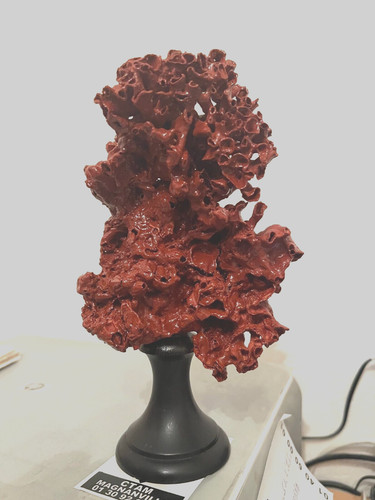 Corail minéraux décoration - corail,