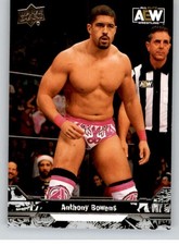 2023 Upper Deck AEW Wrestling