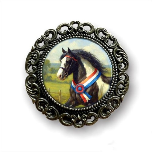 Gypsy cob champion pinto sash - cob,