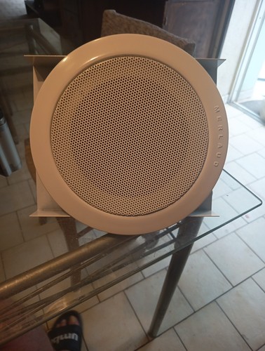 Enceinte plafond merlaud - de,