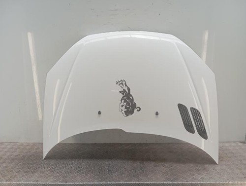 Capot peugeot 206 phase - 206,