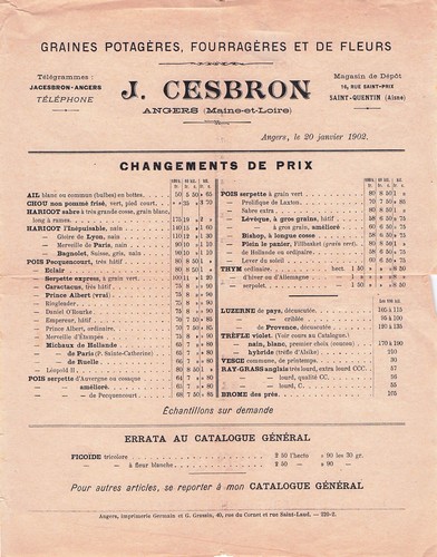 Angers grainetier cesbron - 49,
