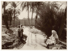 Lehnert & Landrock, Tunisie