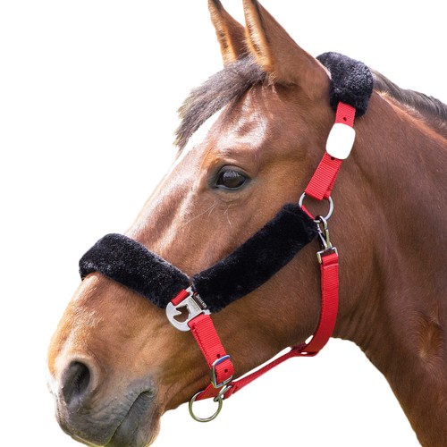 Shires licol - -,