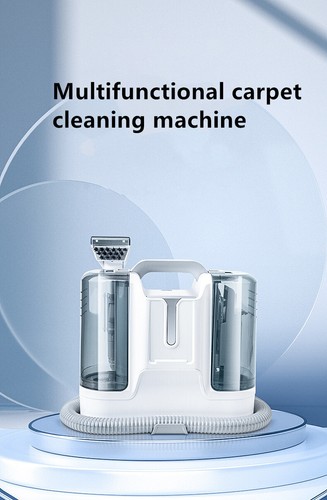 Lave tapis 1 - lave-tapis, en