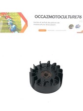 Volant Magnétique ( Rotor)