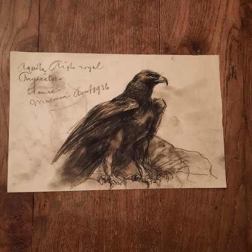 Dessin ancien animalier fond - ancien,