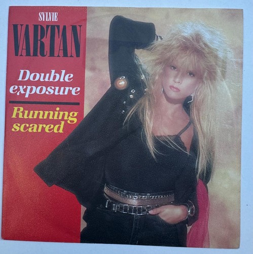 Sylvie vartan hollande double - sylvie,