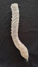 eponge euplectella ou Panier