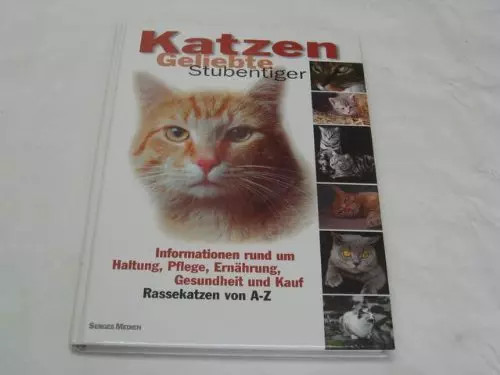 Katzen geliebte stubentiger - katzen,