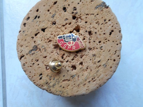 Pin police gspr groupe - pin's,