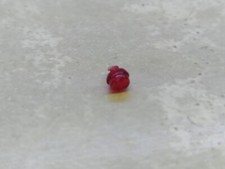 1/18 Feu arrière Renault