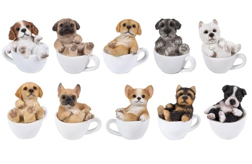 Mini teacup puppy dog - teacup, pet