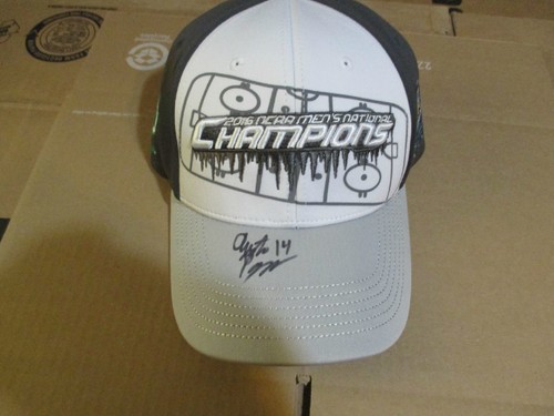 North dakota fighting hawks - north,