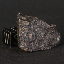 Météorite NWA 16387 de 12,94 g - Chondrite Carbonée type CK3