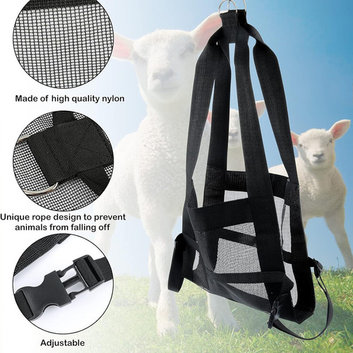 Corde nylon suspendue - corde, à
