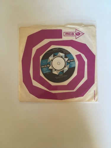Camel never let - camel,