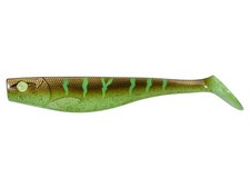 Neuf 2026 illex - dexter, shad