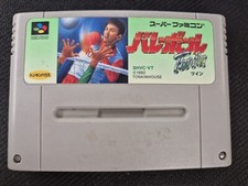 Volley Ball Twin Super Famicom SNES Loose NTSC-J JAP