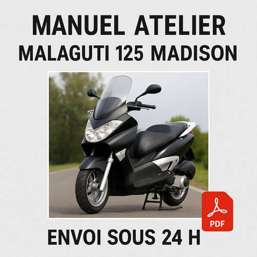 Manuel atelier malaguti 125 - manuel,