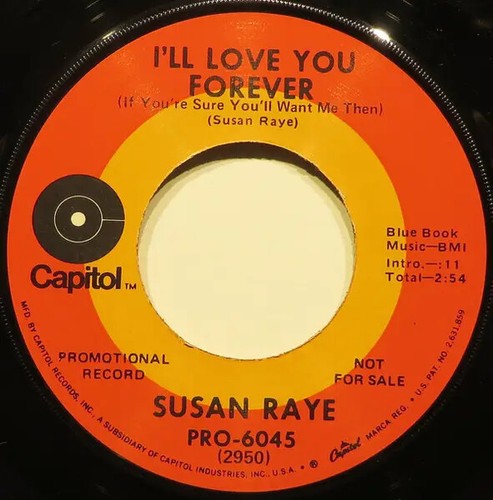 Susan raye willy - raye, vinyle