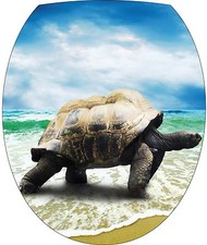 Sticker abattant de WC Tortue