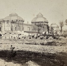 FRANCE Bordeaux Serre du Jardin Public c1865 Photo Stereo Vintage Albumine