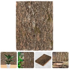 Fond de Terrarium en liège