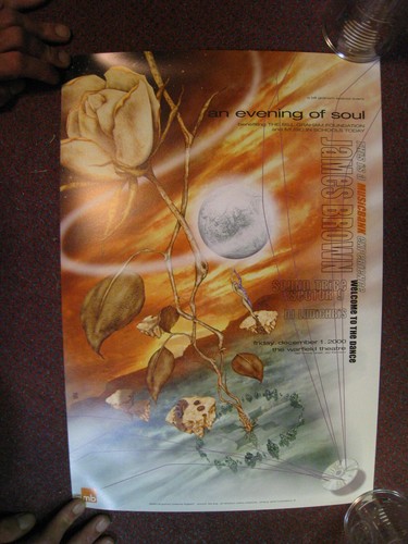 Poster james brown soundtribe - james,