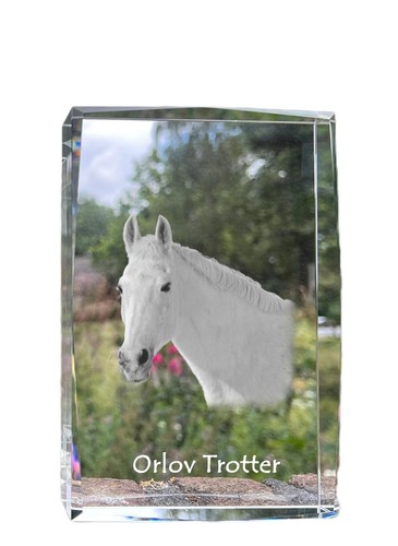 Trotteur orlov cristal - avec, un