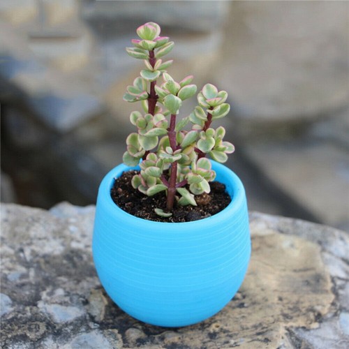 Pots fleurs pratiques - de,
