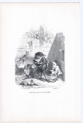 Animaux savants granville 1842 - savants,