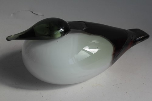 Canard verre oiva toikka - canard,