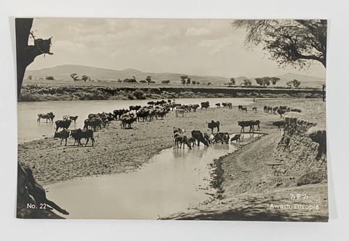 Rppc the awash river - awash, addis
