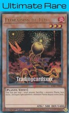 Yu-Gi-Oh! Floraison de Feu : UL RA01-FR002