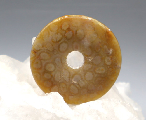 Nacre corail fossile donut - corail,