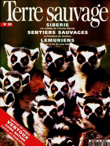 Terre sauvage sibérie - terre,