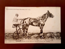 Photo Carte Hippisme Équitation 1914 ”La France Chevaline” N°28  ”JOSSELIN”