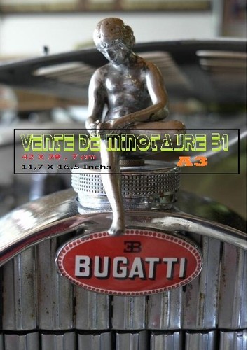Mascotte auto enfant sur - auto,