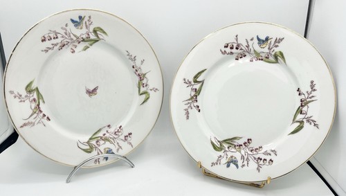 Paire assiettes en - d’assiettes,