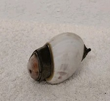 Boîte À Pillules Forme Coquillage Avec Couvercle Vintage  (Réf : CH38)