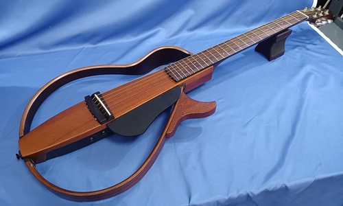 Guitare acoustique électrique