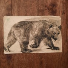 Dessin Ancien Animalier Fond