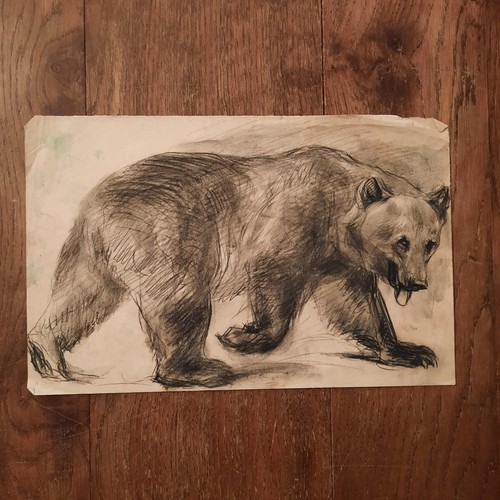 Dessin ancien animalier - dessin,
